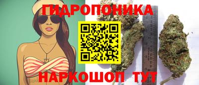 дмт Донской
