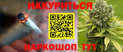 дмт Донской
