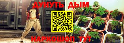 амф Дубна
