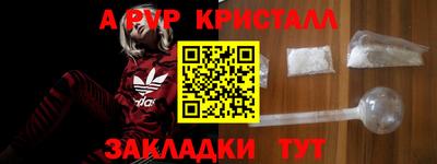 дмт Донской