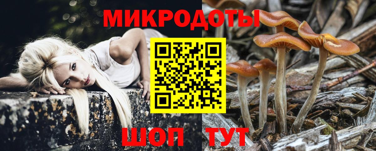 Галлюциногенные грибы мухоморы Ногинск