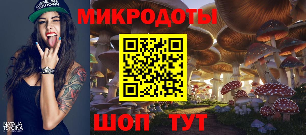 Ногинск  Галлюциногенные грибы Cubensis  Вход с VPN  Псилоцибиновые грибы мицелий 